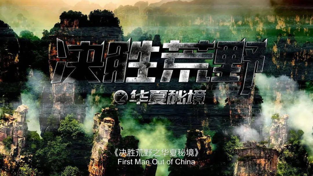 廿日是几日?红迪网专属平台